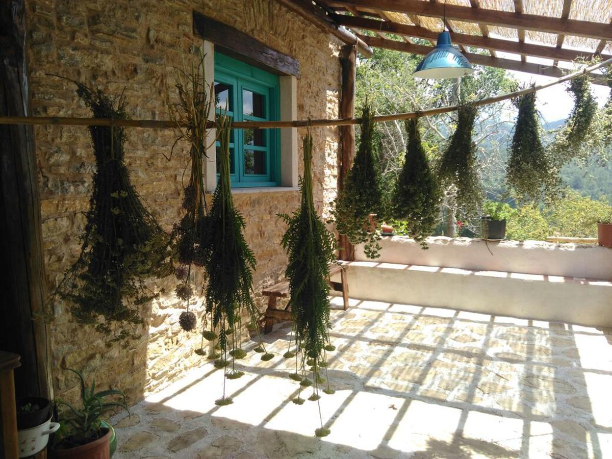Masseria Cata Catascia Bed and Breakfast Tortorella Exteriör bild